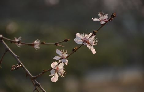 《我的英语老师》