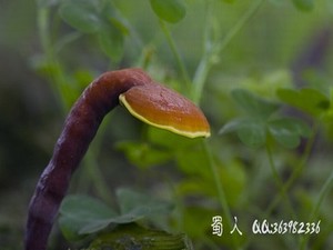 《穴居》笔趣阁