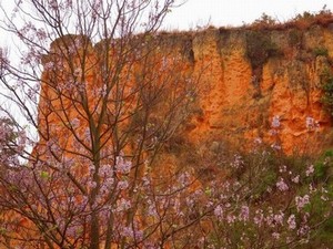 全套技师培训