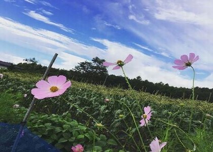 分手后挽回的最佳时间