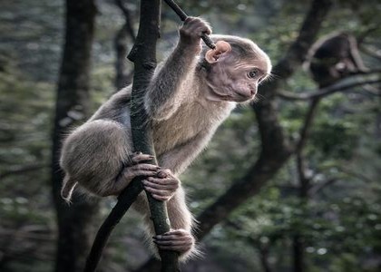 夹住 别掉下来 回来检查