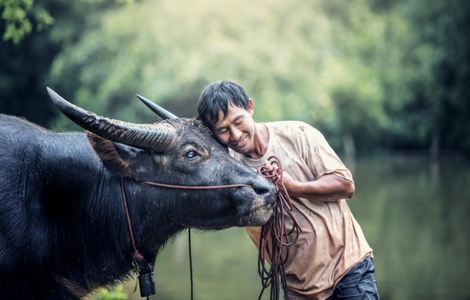 扑克牌生产视频