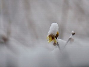 用脚打枪视频