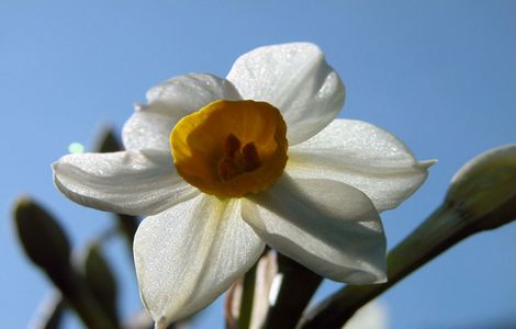 芋圆呀呀粉色碎花裙